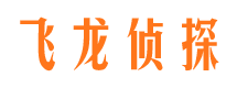 巴里坤侦探